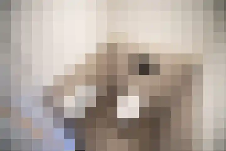 Gerard Douplantsoen 34 Voorschoten thumbnail 11