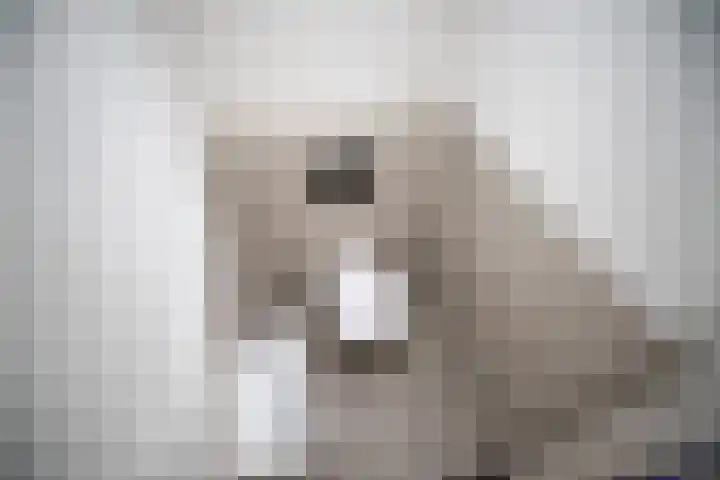 Gerard Douplantsoen 37 Voorschoten thumbnail 10