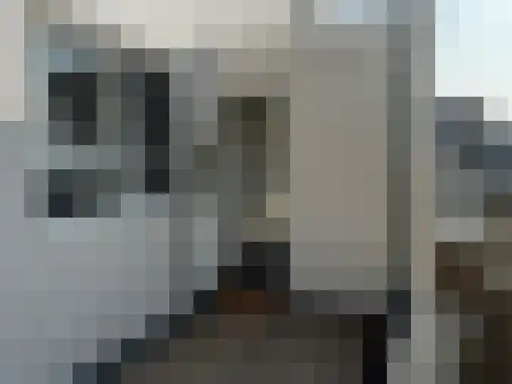 Gerard Douplantsoen 38 Voorschoten thumbnail 15