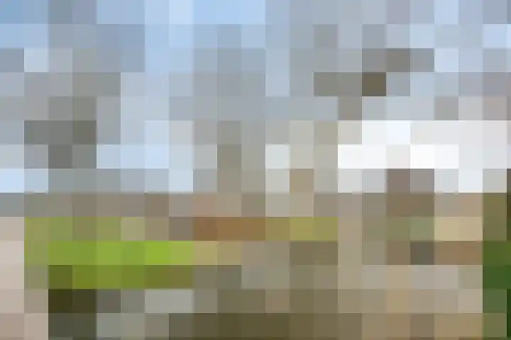 Gerard Douplantsoen 38 Voorschoten thumbnail 29