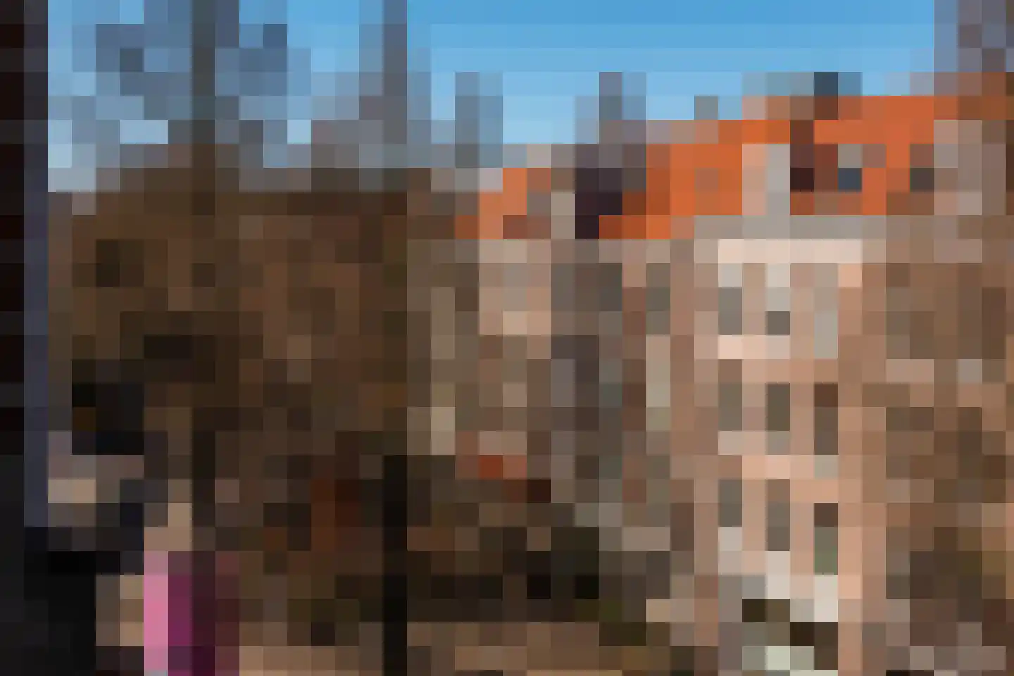 Gerard Douplein 90 2 Amsterdam thumbnail 12
