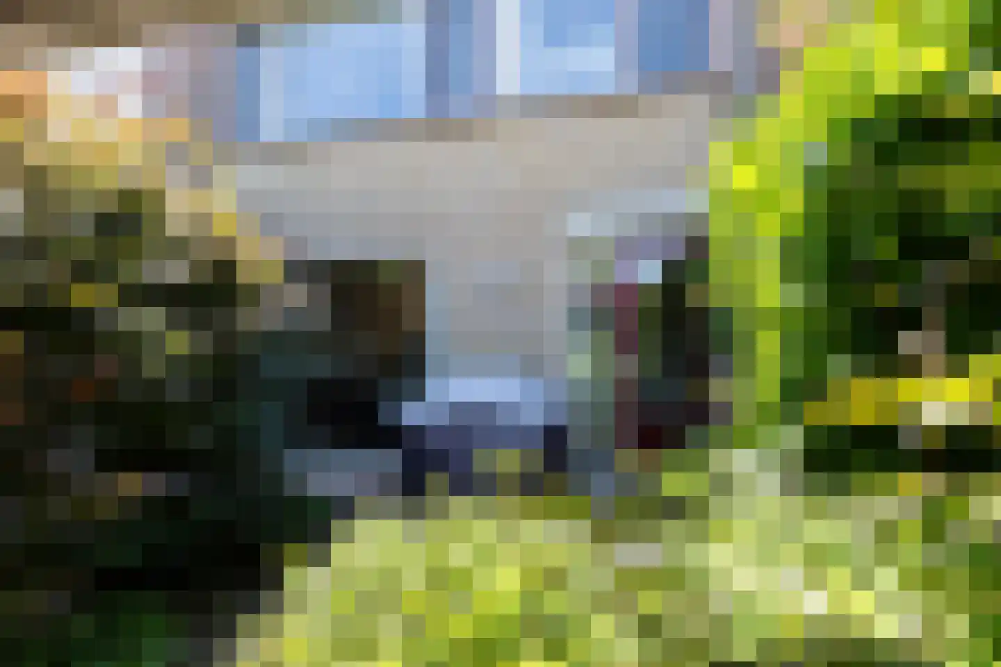 Gerard Dousingel 19 Papendrecht thumbnail 23