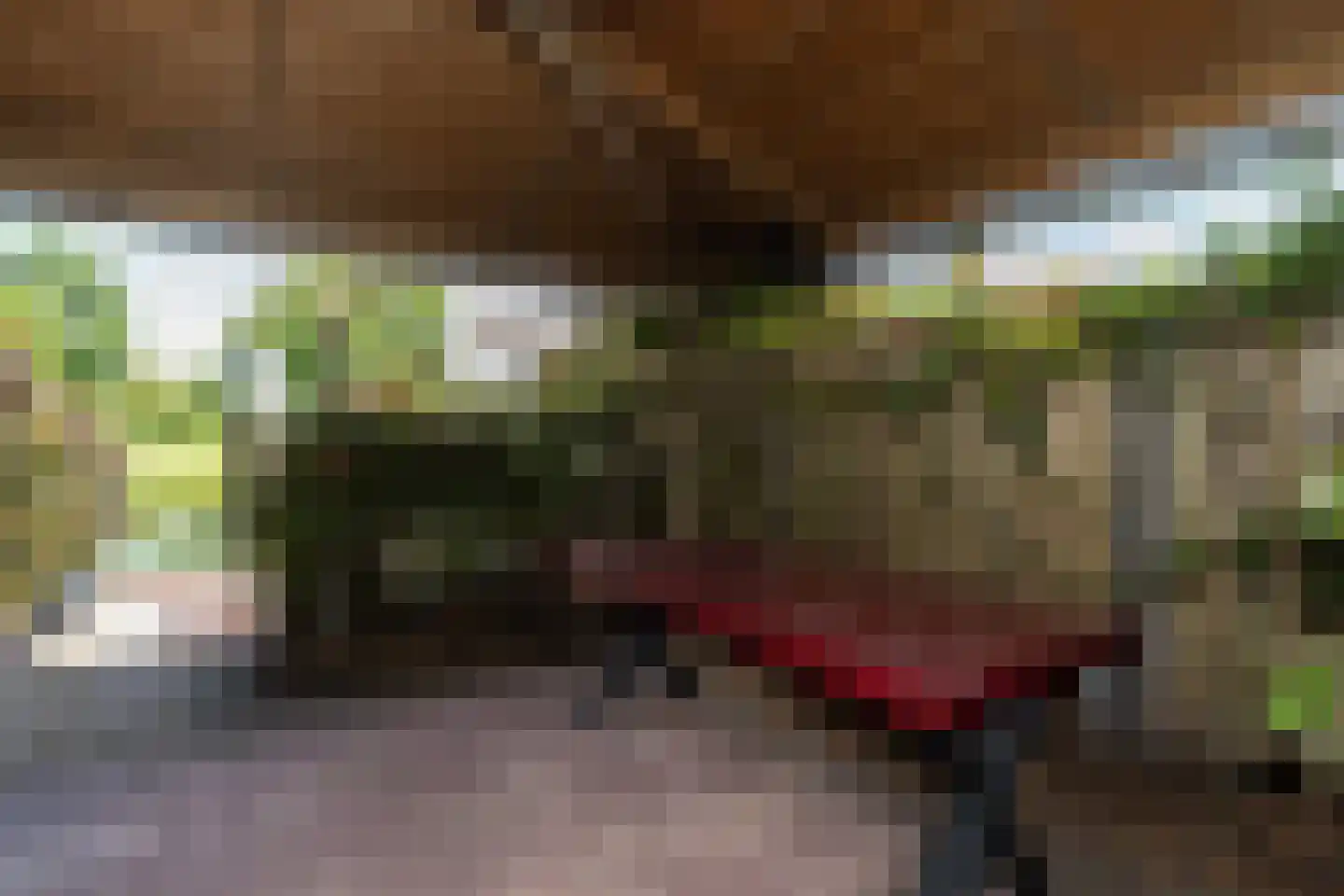 Gerard Dousingel 19 Papendrecht thumbnail 25