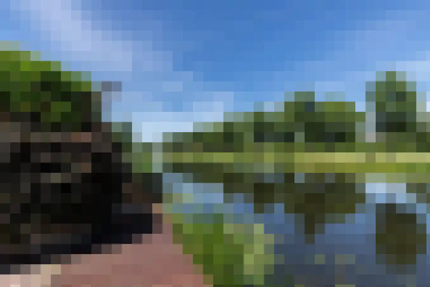 Gerard Dousingel 19 Papendrecht thumbnail 4
