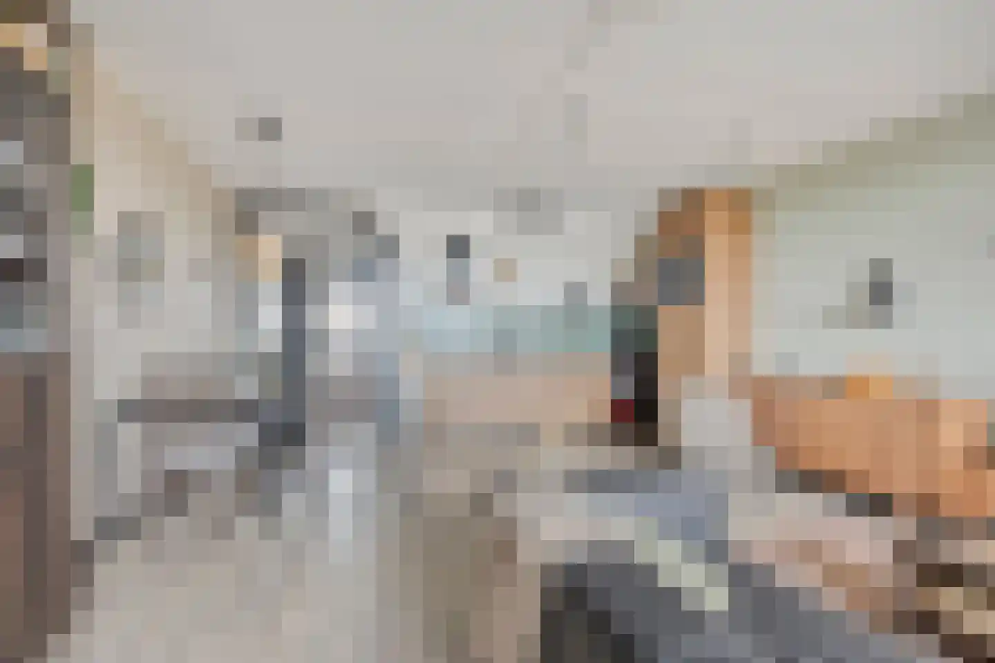 Gerard Dousingel 22 Papendrecht thumbnail 13