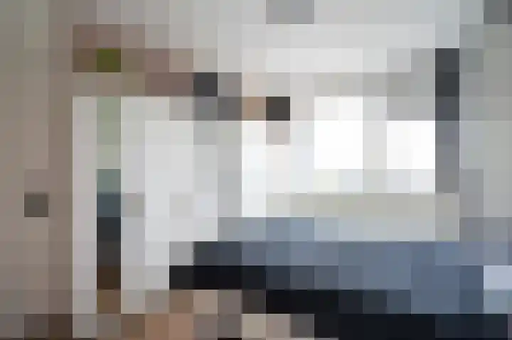 Gerard Dousingel 28 Papendrecht thumbnail 10