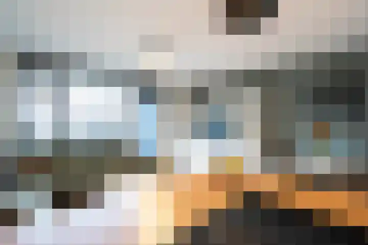 Gerard Dousingel 28 Papendrecht thumbnail 5