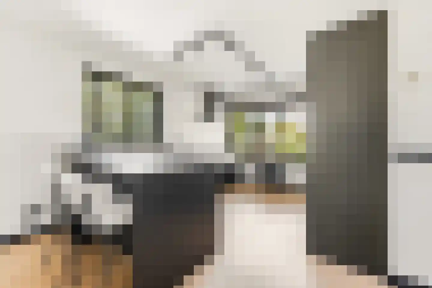 Gerard Dousingel 31 Papendrecht thumbnail 12