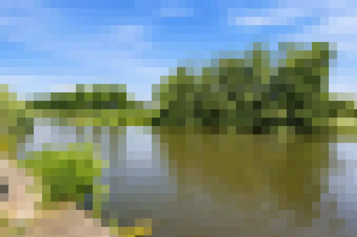Gerard Dousingel 31 Papendrecht thumbnail 34