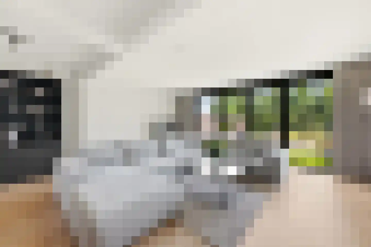 Gerard Dousingel 31 Papendrecht thumbnail 7