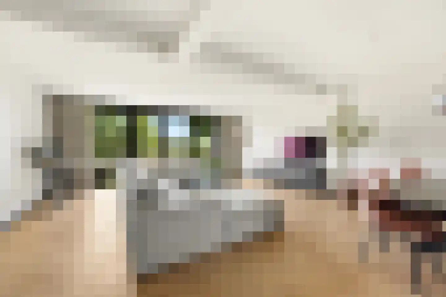 Gerard Dousingel 31 Papendrecht thumbnail 9