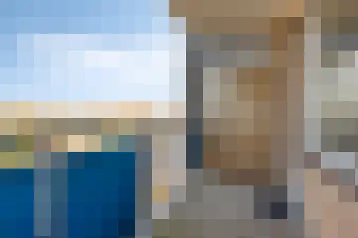 Gerard Dousingel 38 Papendrecht thumbnail 15