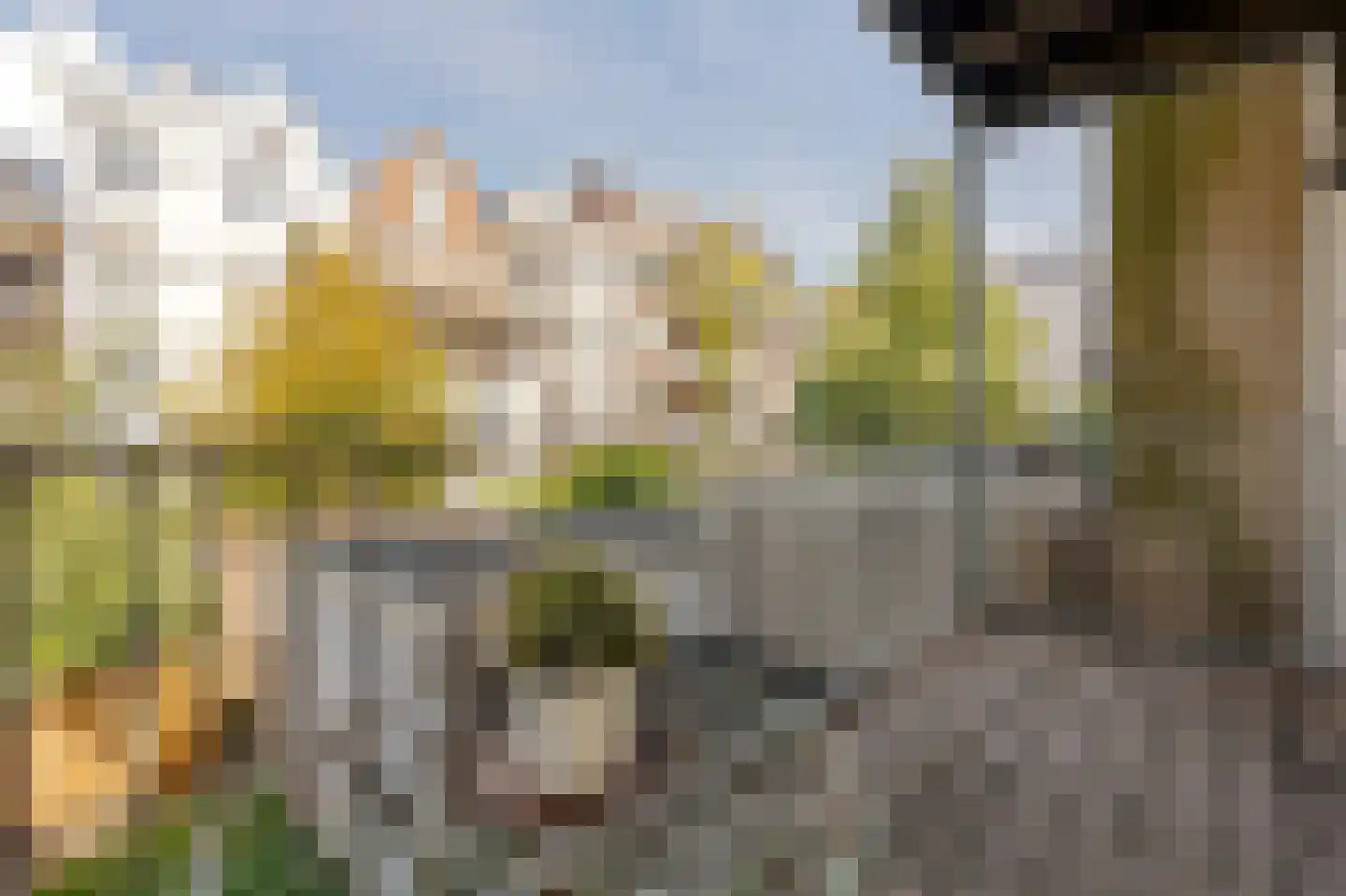Gerard Doustraat 1 D 1 Amsterdam thumbnail 12