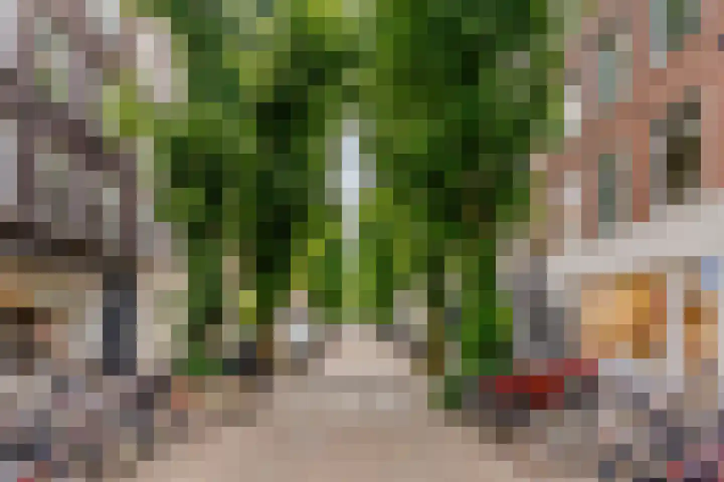 Gerard Doustraat 1 D H Amsterdam thumbnail 23