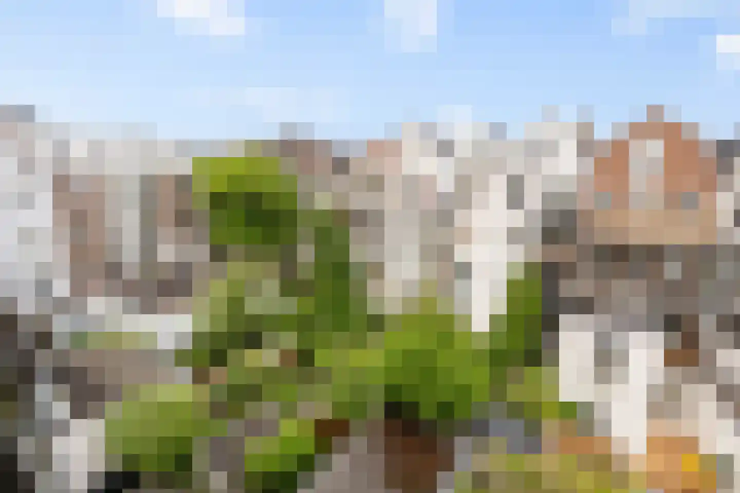 Gerard Doustraat 1 E 2 Amsterdam thumbnail 13