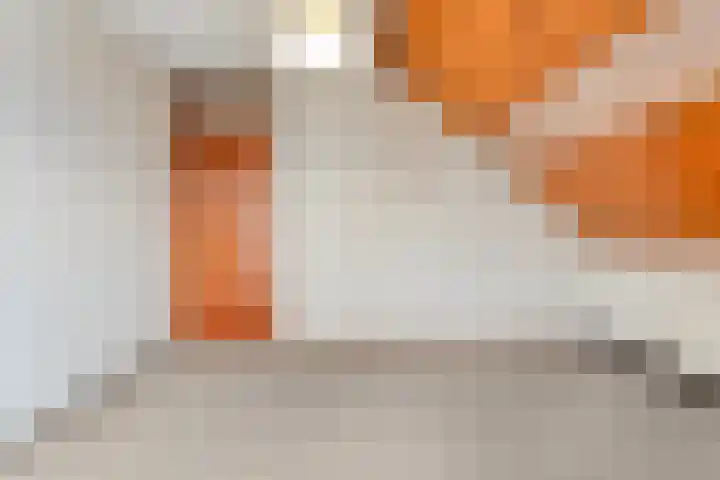 Gerard Doustraat 1 Hardenberg thumbnail 30