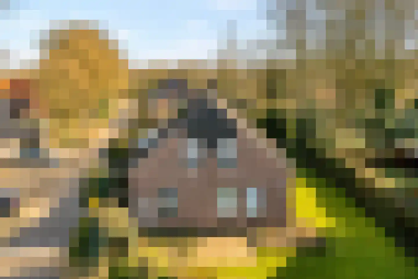 Gerard Doustraat 1 Hardenberg thumbnail 34
