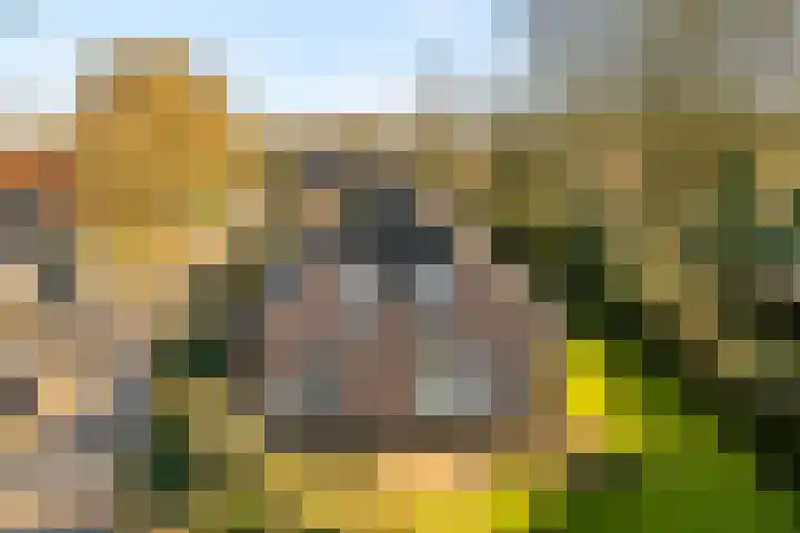 Gerard Doustraat 1 Hardenberg thumbnail 34
