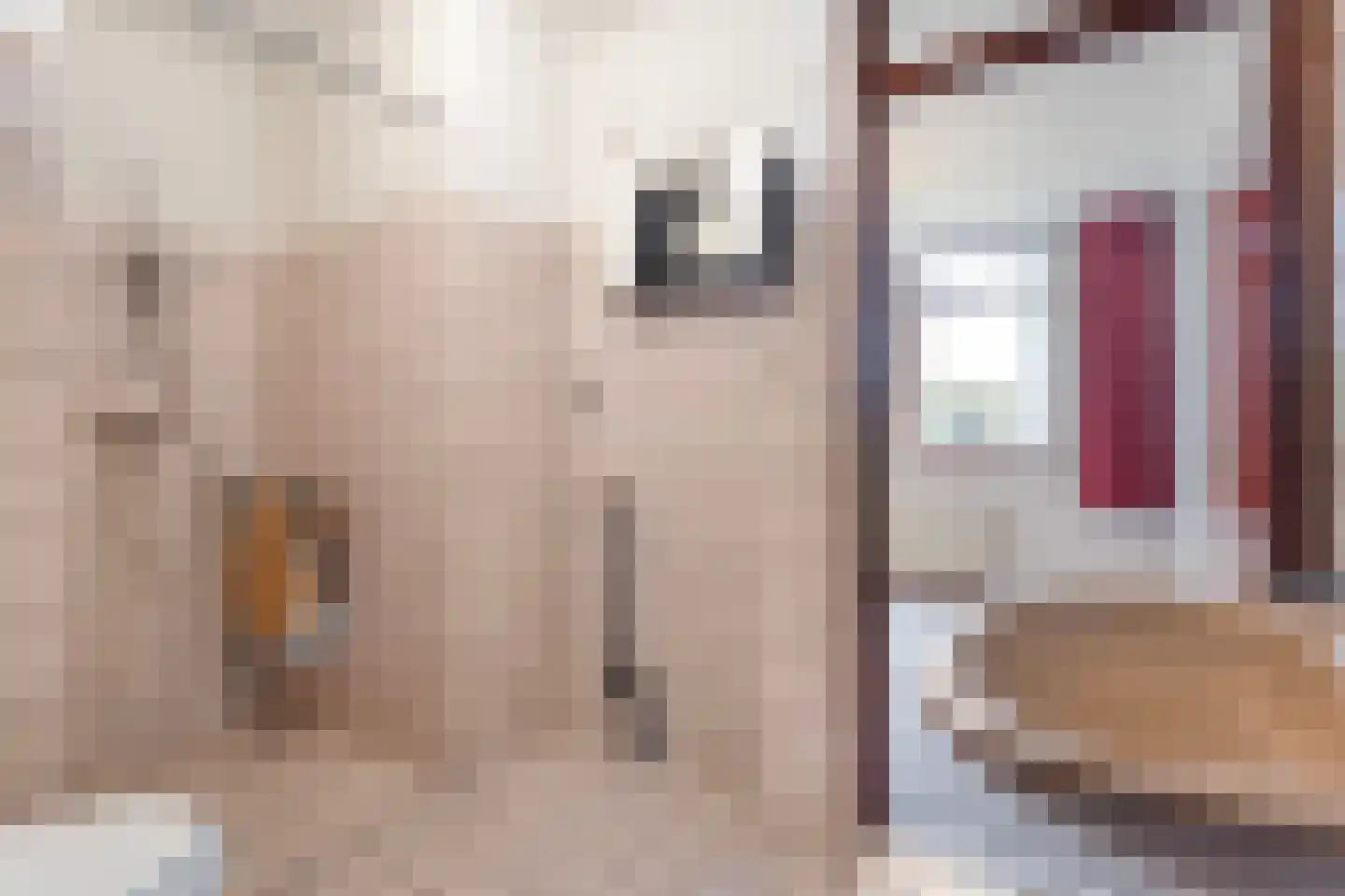 Gerard Doustraat 1 Hardenberg thumbnail 47
