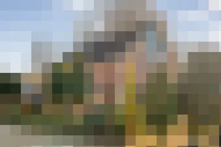 Gerard Doustraat 1 Hardenberg thumbnail 54