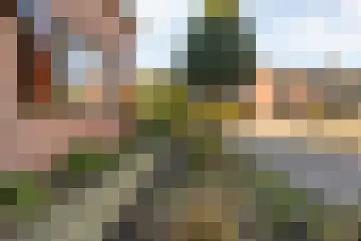 Gerard Doustraat 1 Hardenberg thumbnail 55