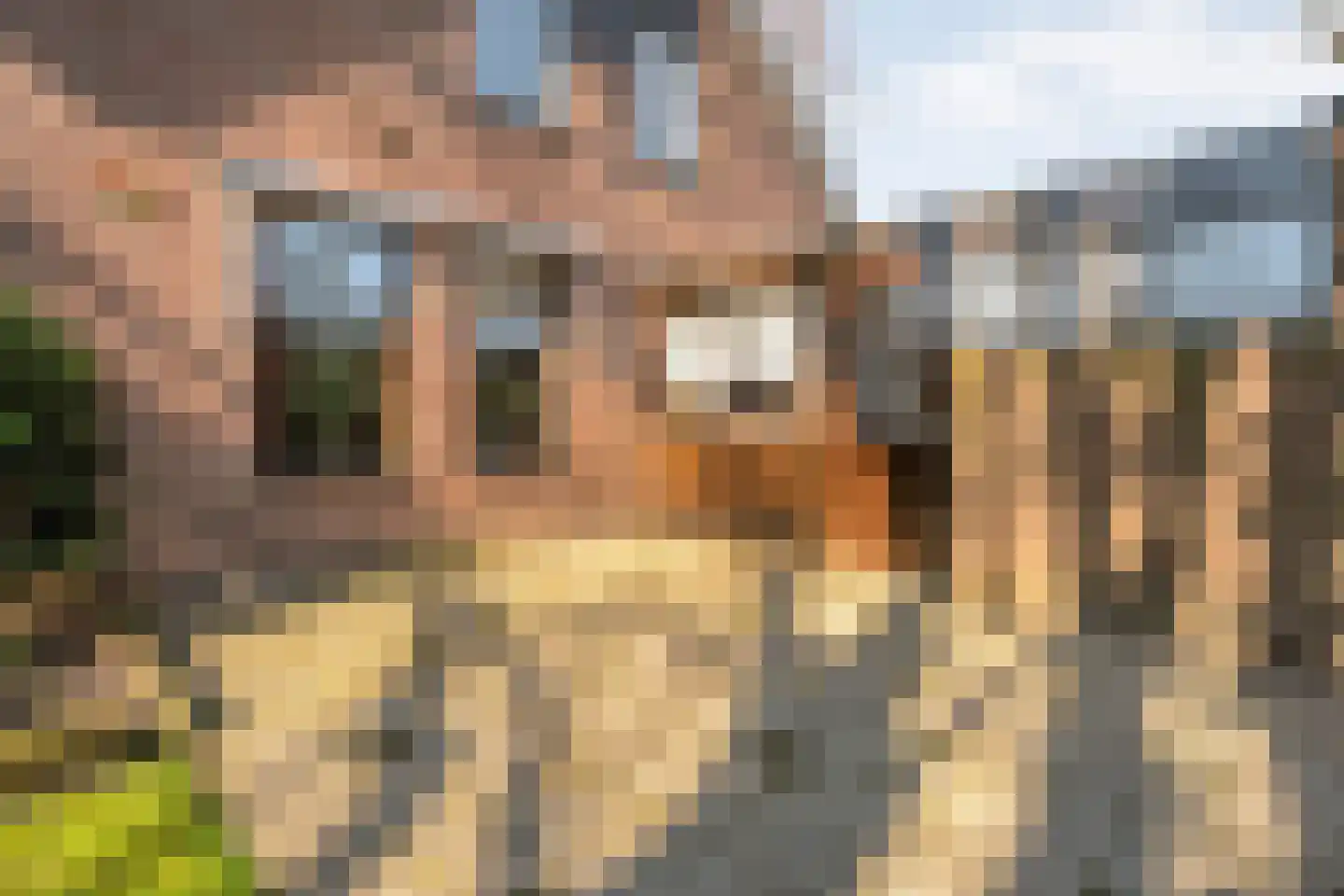 Gerard Doustraat 1 Hardenberg thumbnail 59