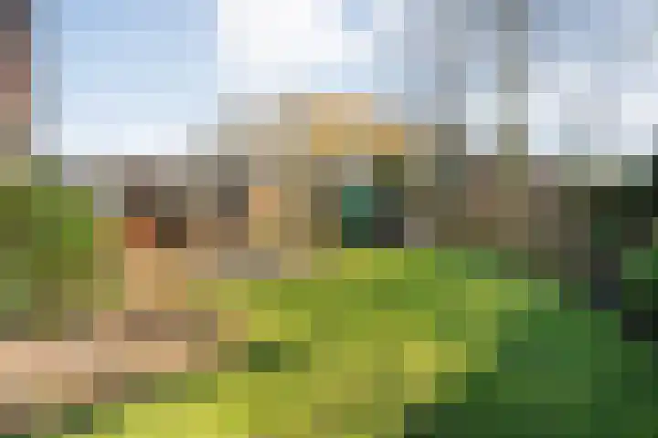 Gerard Doustraat 1 Hardenberg thumbnail 62