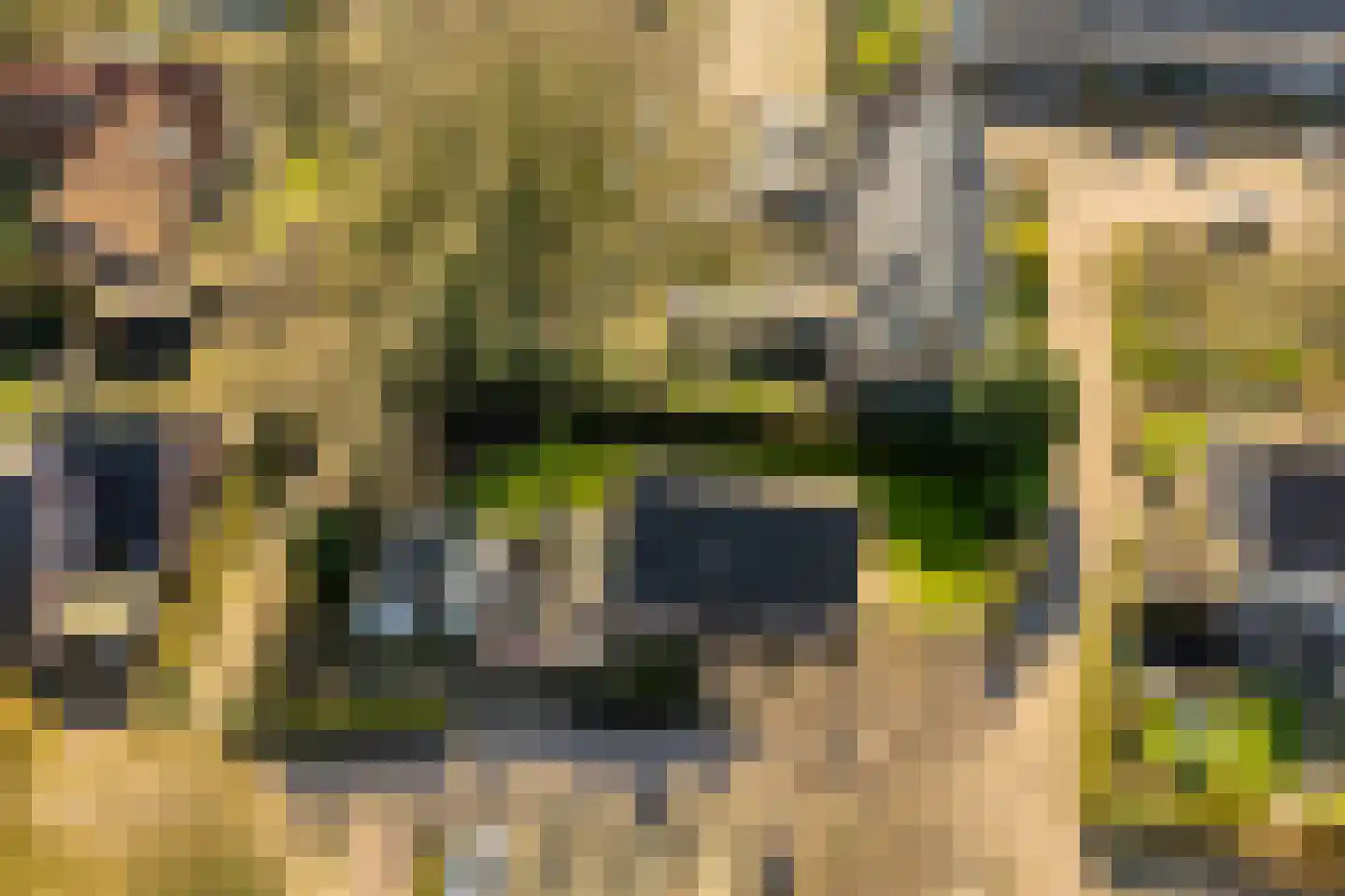 Gerard Doustraat 1 Hardenberg thumbnail 64