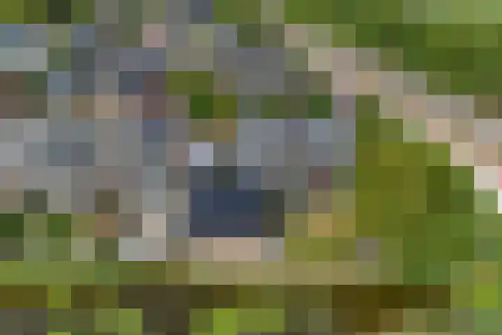 Gerard Doustraat 1 Ommen foto 2