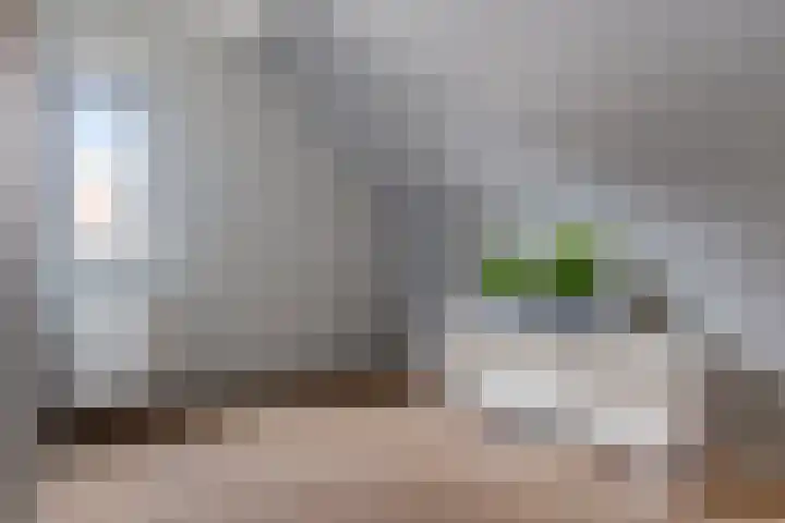 Gerard Doustraat 1 Ommen thumbnail 37