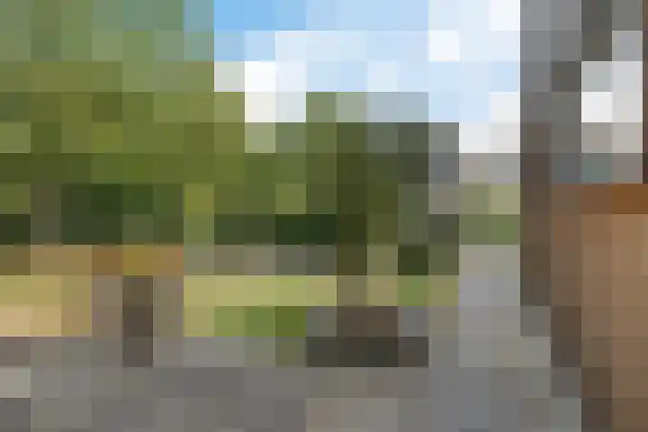 Gerard Doustraat 1 Ommen thumbnail 64
