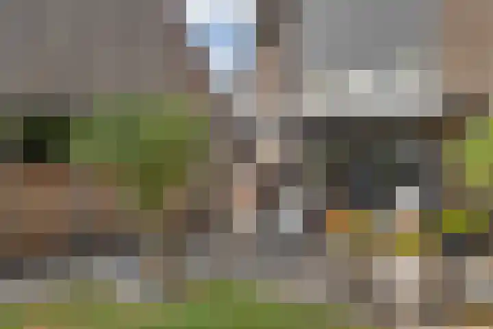 Gerard Doustraat 1 Ommen thumbnail 65