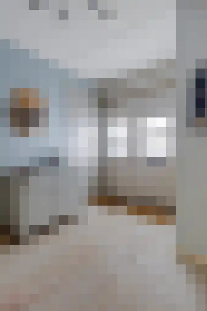 Gerard Doustraat 1 Ommen thumbnail 8
