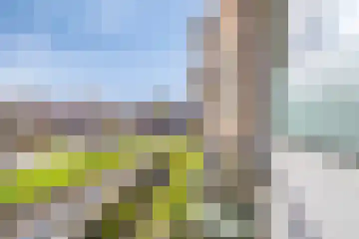Gerard Doustraat 101 Assen thumbnail 27