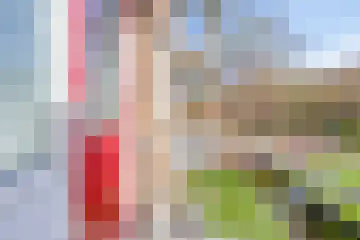 Gerard Doustraat 101 Assen thumbnail 28