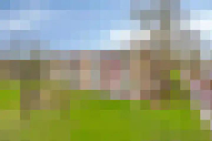 Gerard Doustraat 101 Assen thumbnail 33