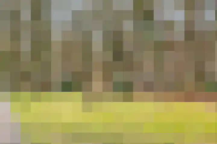 Gerard Doustraat 101 Assen thumbnail 36
