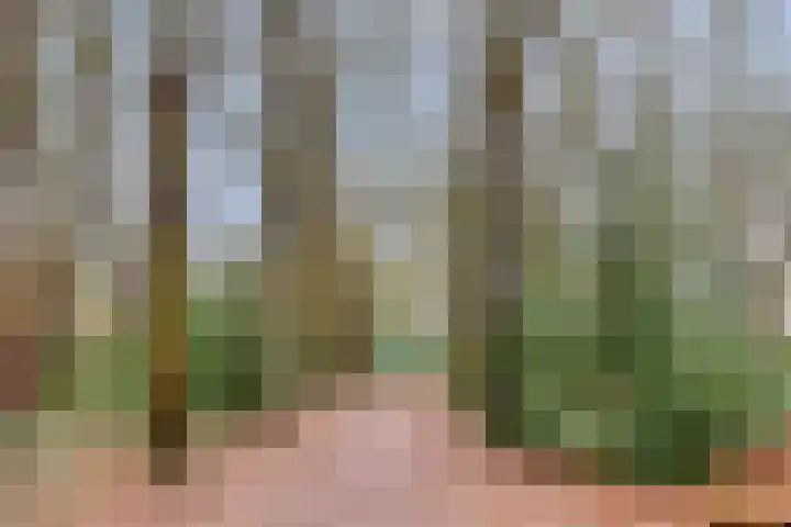 Gerard Doustraat 101 Assen thumbnail 37