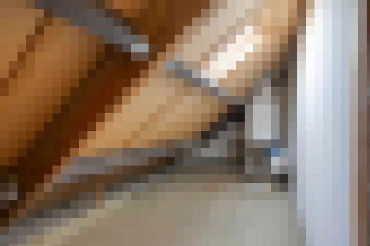 Gerard Doustraat 102 Meppel thumbnail 32