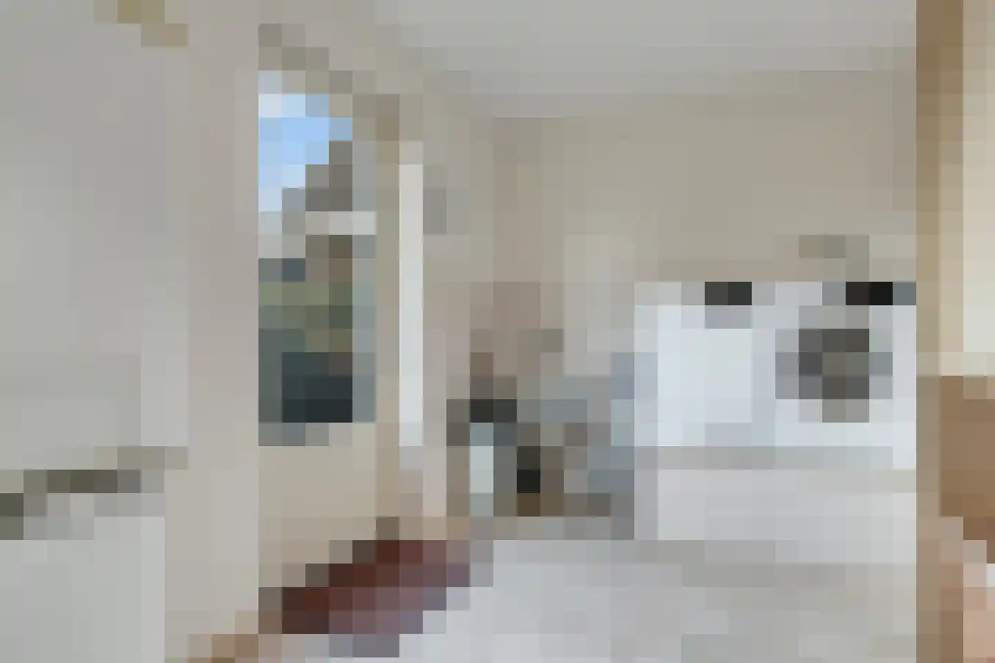 Gerard Doustraat 105 Ommen thumbnail 21