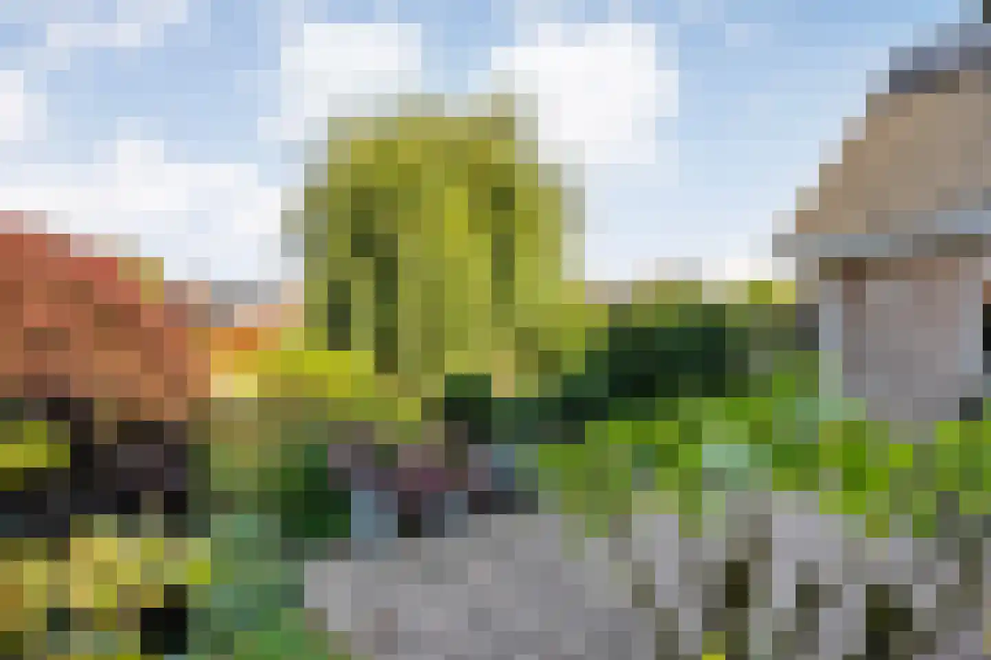Gerard Doustraat 105 Ommen thumbnail 53