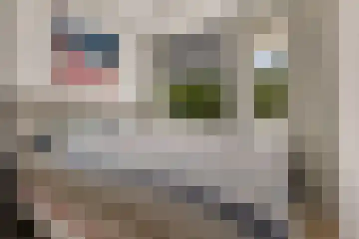 Gerard Doustraat 107 Assen thumbnail 21