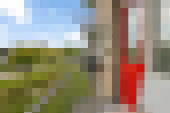 Gerard Doustraat 107 Assen thumbnail 25