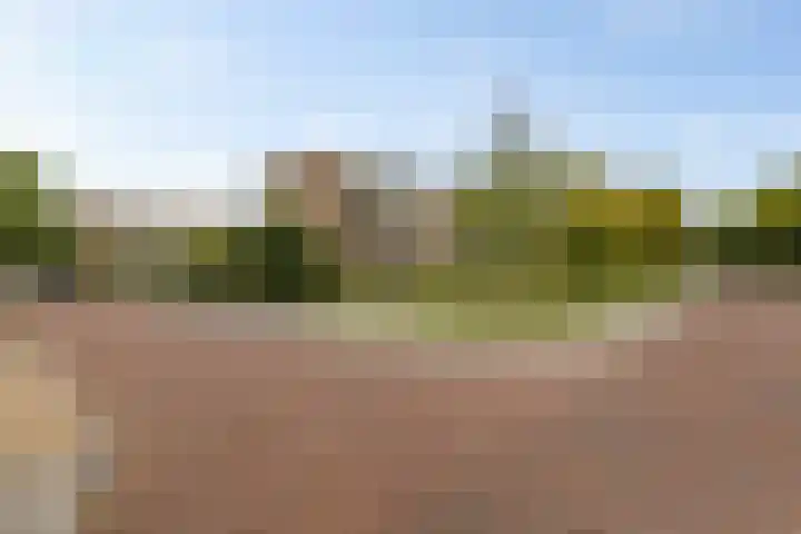 Gerard Doustraat 107 Assen thumbnail 36