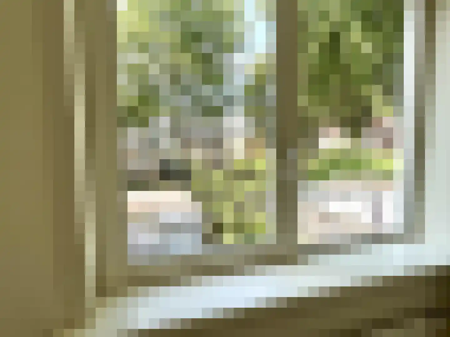 Gerard Doustraat 109 Roosendaal thumbnail 15
