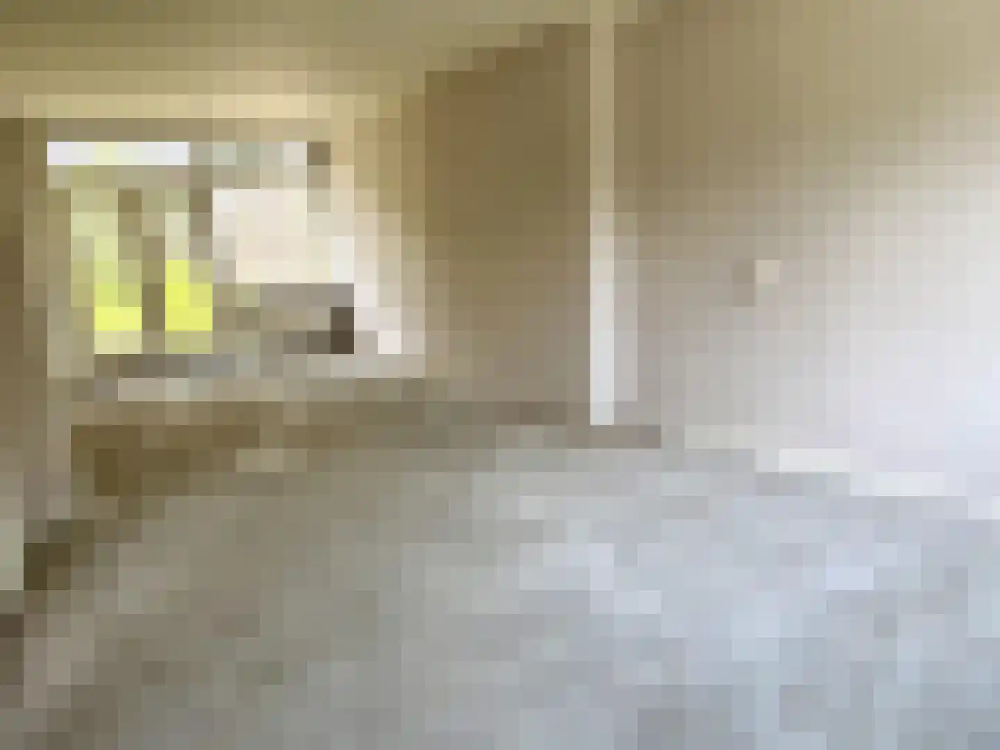 Gerard Doustraat 109 Roosendaal thumbnail 7