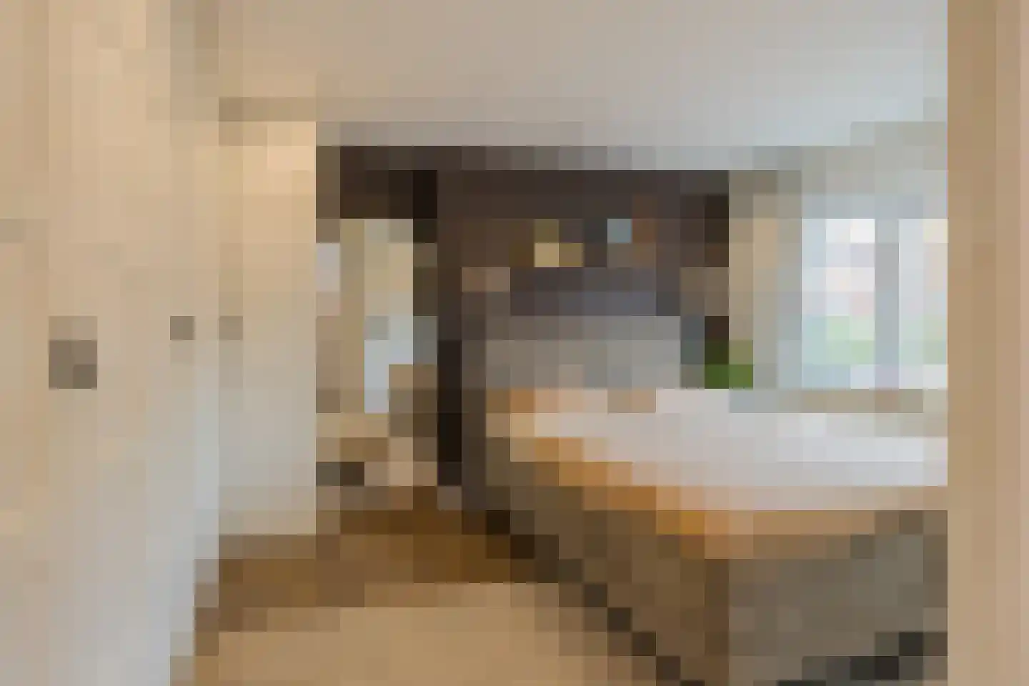 Gerard Doustraat 11 IJmuiden thumbnail 24