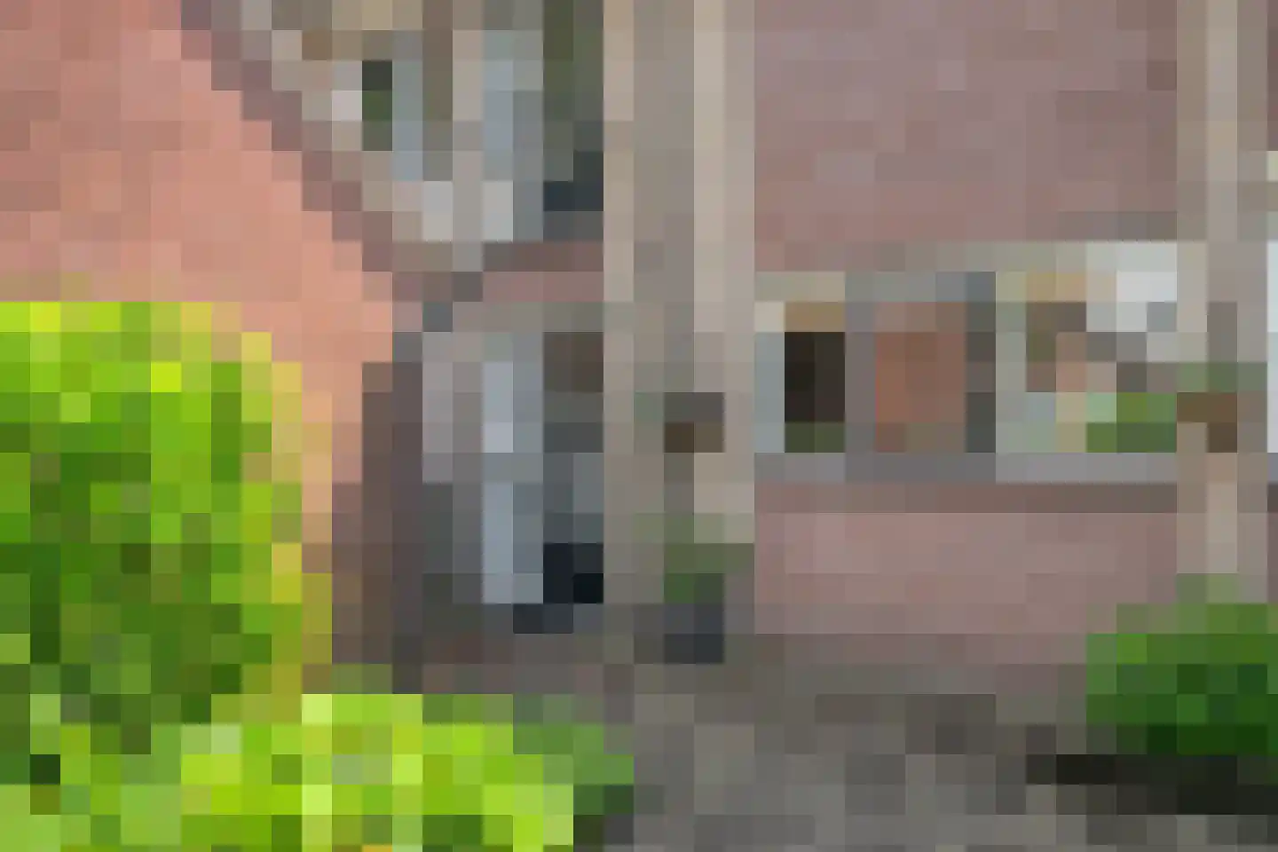 Gerard Doustraat 117 Ede thumbnail 18