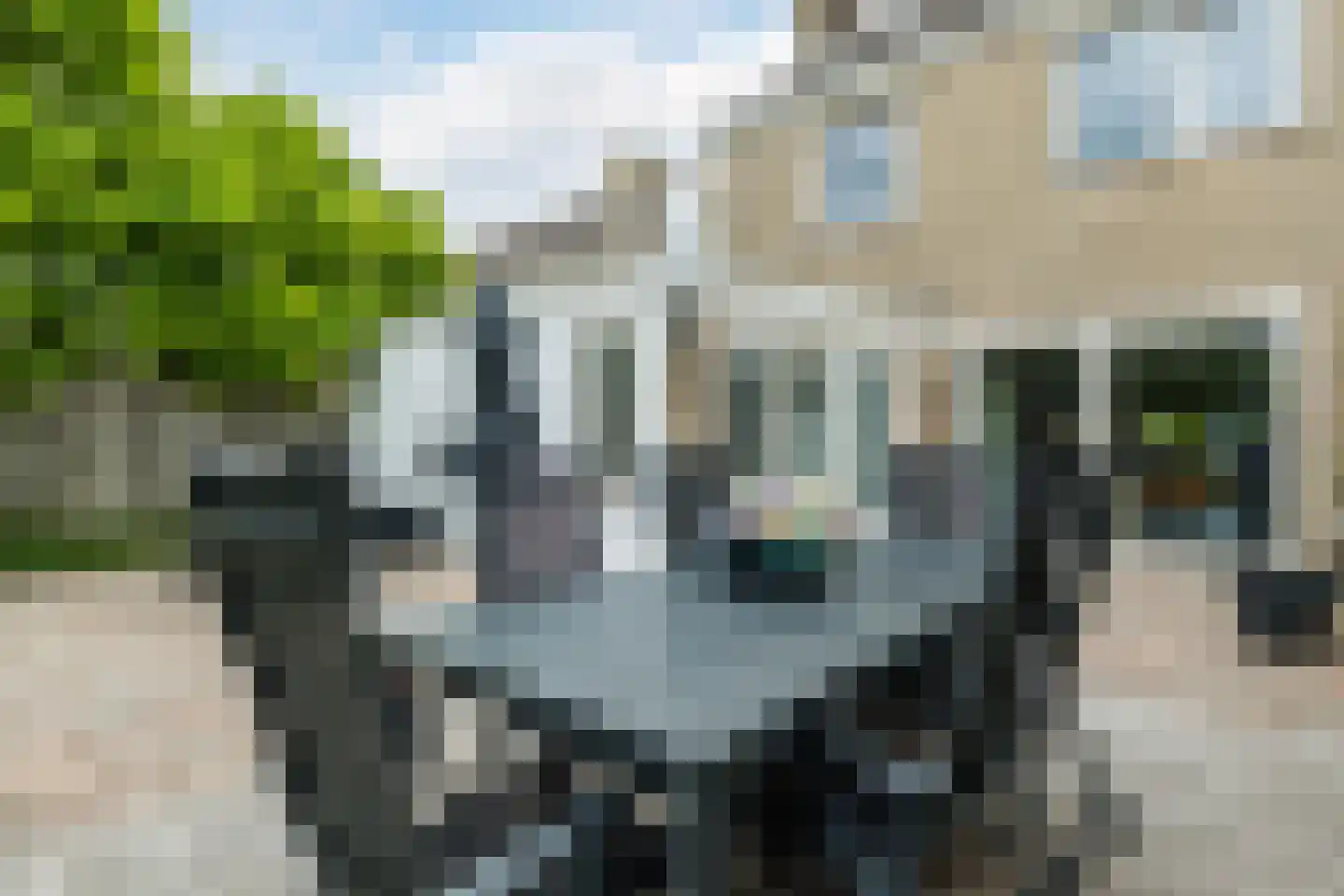 Gerard Doustraat 118 Meppel thumbnail 26