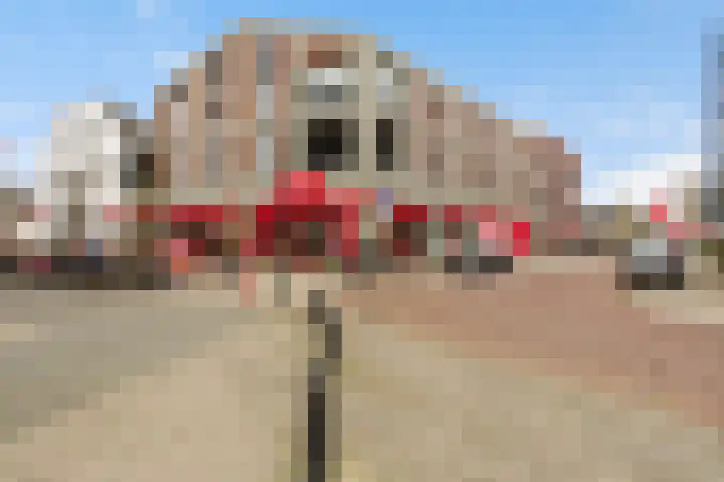 Gerard Doustraat 12 Maarssen thumbnail 43